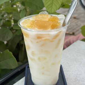 Sữa chua hạt đác